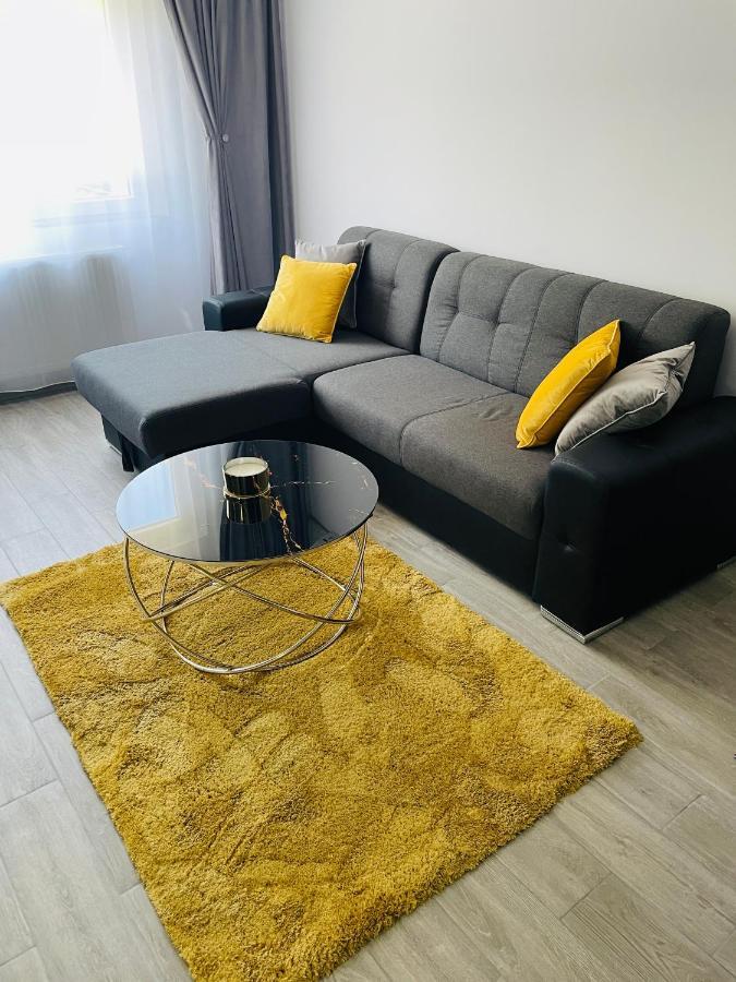 Timisoara Central Apartment New Parking !! 外观 照片