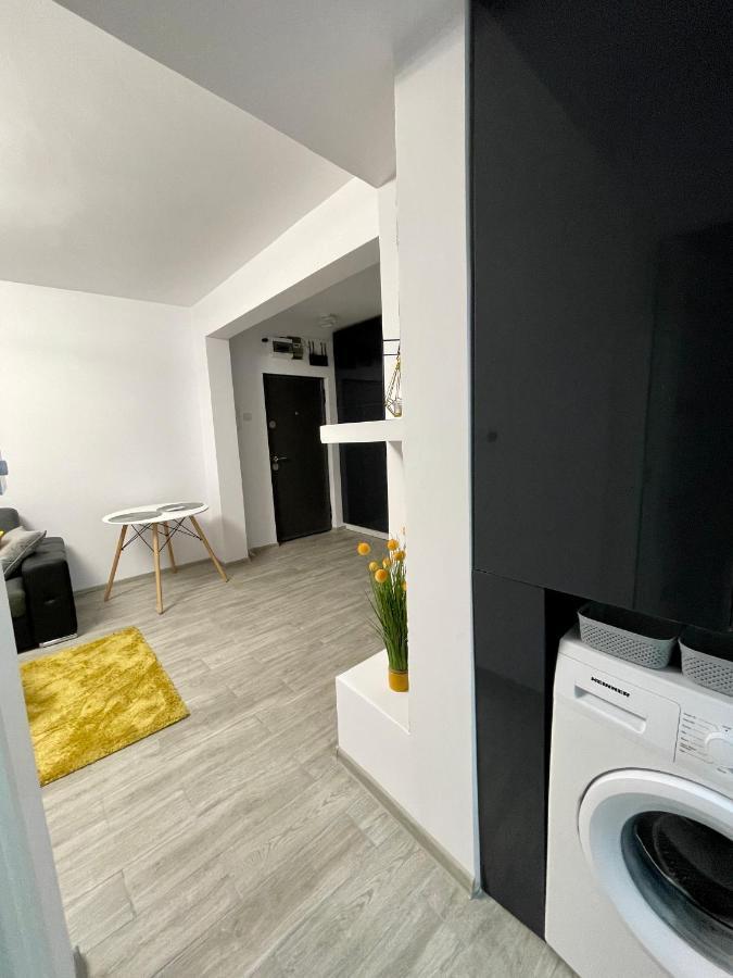Timisoara Central Apartment New Parking !! 外观 照片