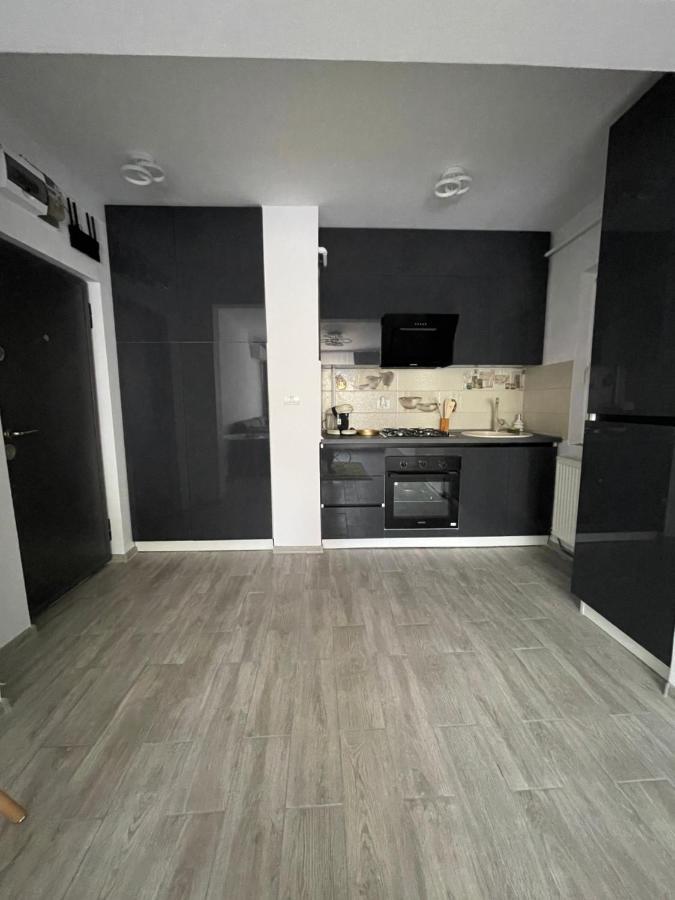Timisoara Central Apartment New Parking !! 外观 照片
