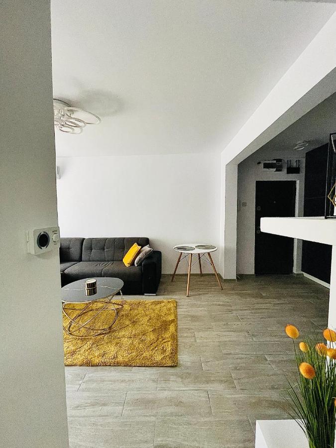 Timisoara Central Apartment New Parking !! 外观 照片