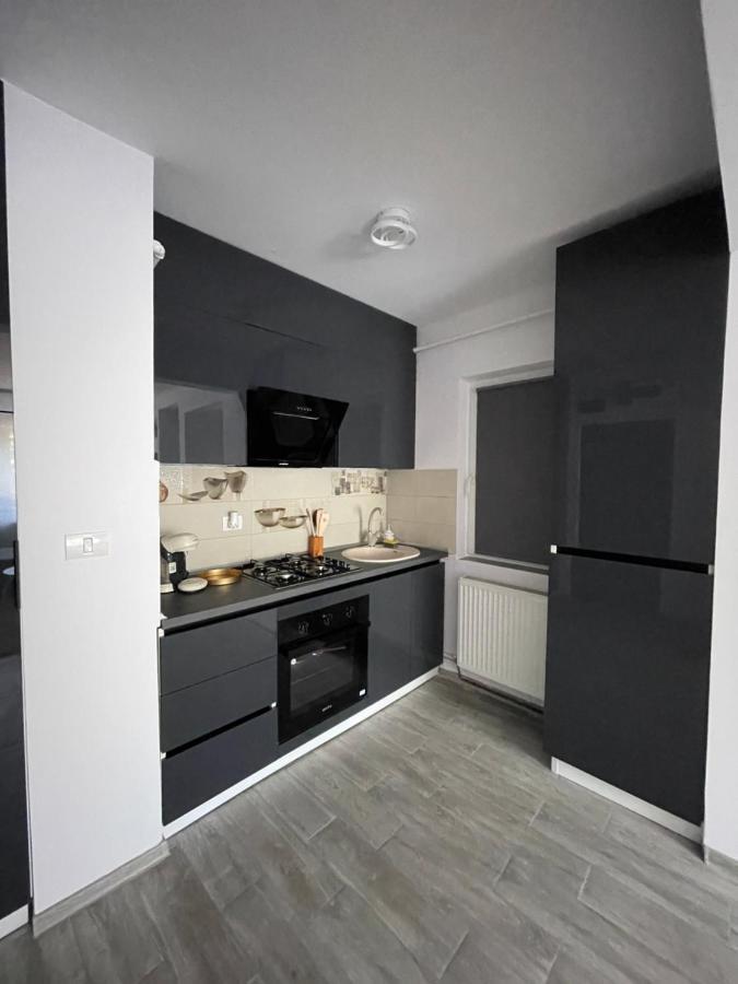 Timisoara Central Apartment New Parking !! 外观 照片