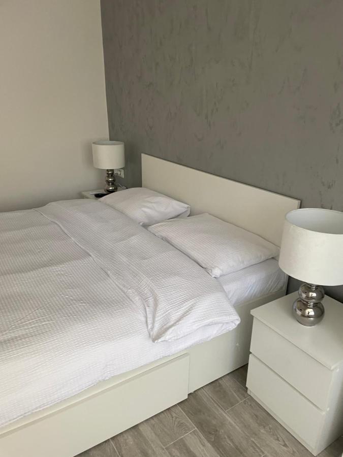 Timisoara Central Apartment New Parking !! 外观 照片